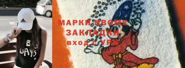 твердый Алексин