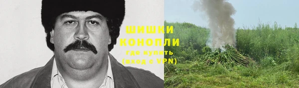 ПСИЛОЦИБИНОВЫЕ ГРИБЫ Алзамай