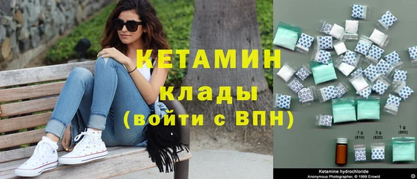 шишки Аркадак