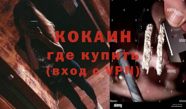 твердый Алексин