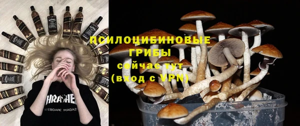 твердый Алексин