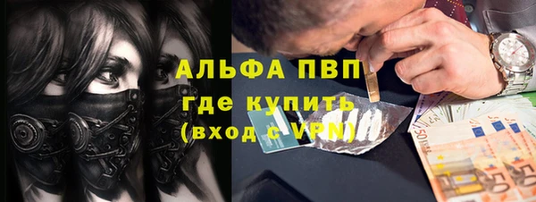 ПСИЛОЦИБИНОВЫЕ ГРИБЫ Алзамай